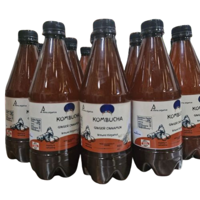 PROBIOTIC KOMBUCHA GINGER CINNAMON 6 PACK, 12 PACK